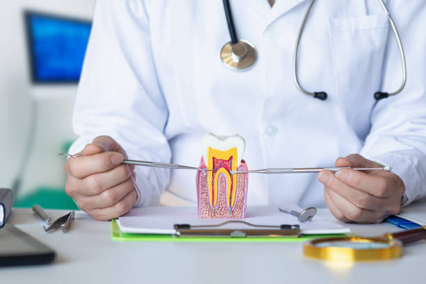 Best Emergency Dental Care for Trauma or Injury in Oliver, PA